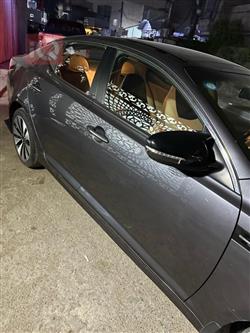 کیا ئۆپتیما